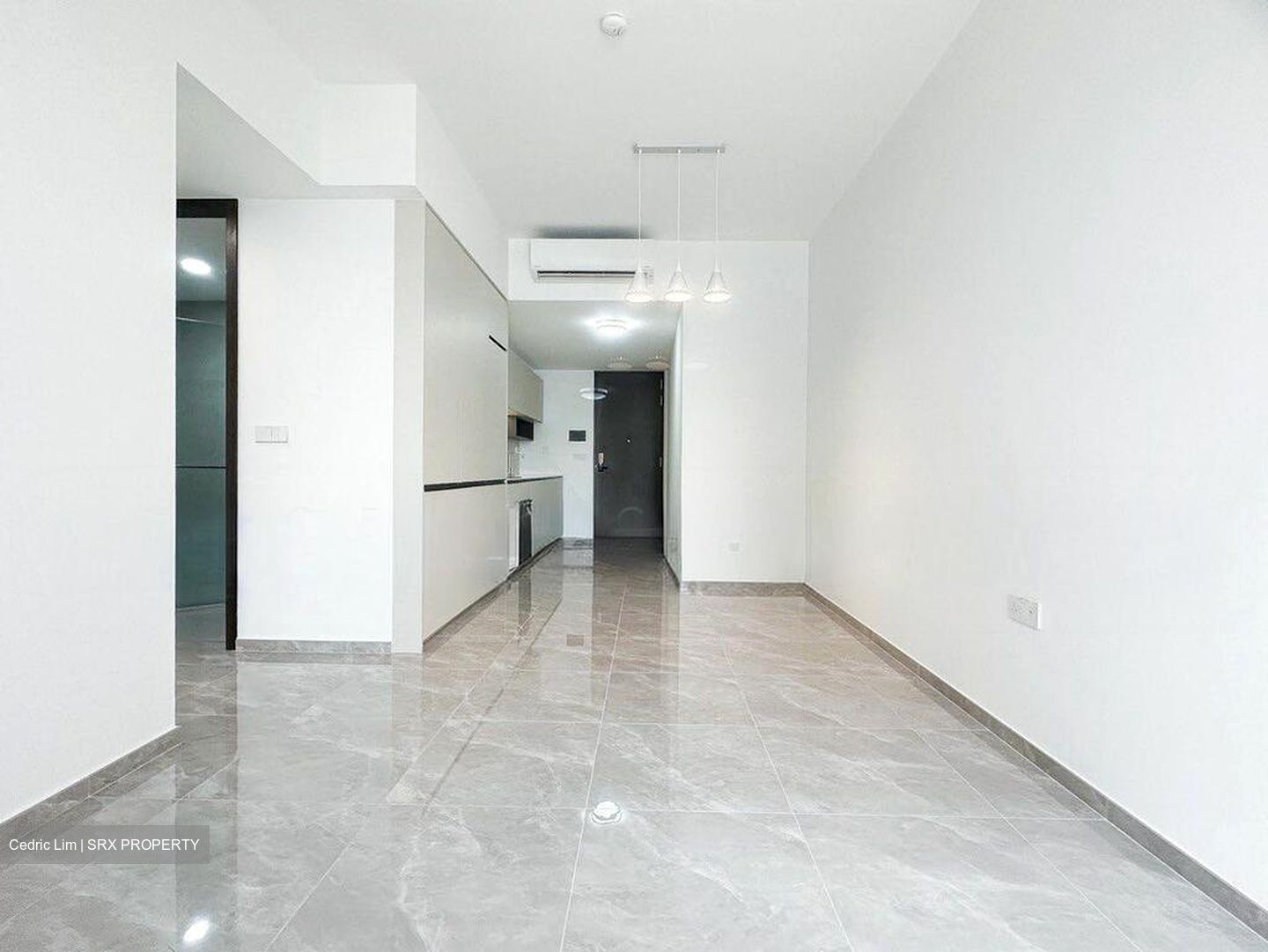 JadeScape (D20), Condominium #498497891